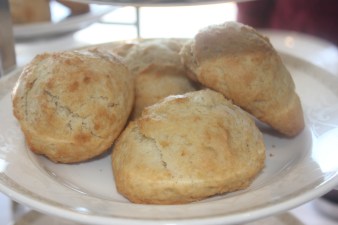 Freshly baked scones with locally made clotted cream and jams!