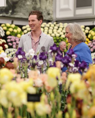 CumberFlowerB