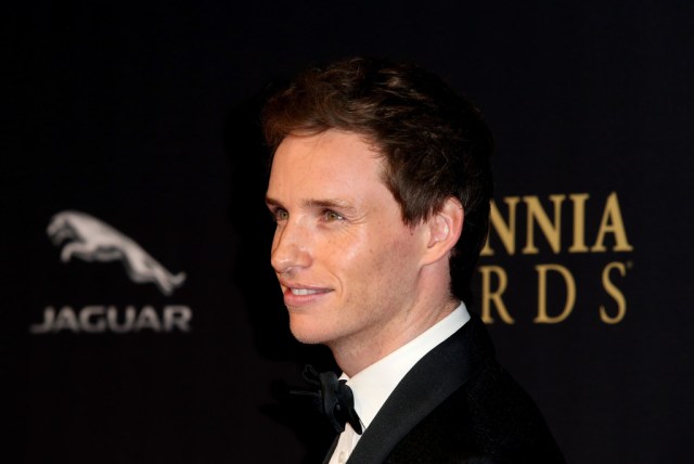 Eddie Redmayne