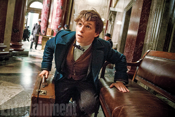 NewtScamander4